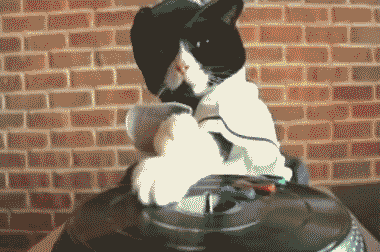 2lsba0p.gif (3 MB)