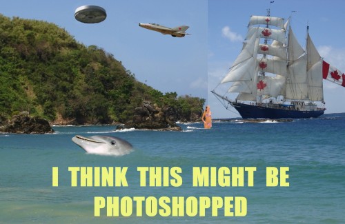 1217535230269.jpg (320 KB)