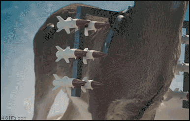 1330823042638.gif (3 MB)