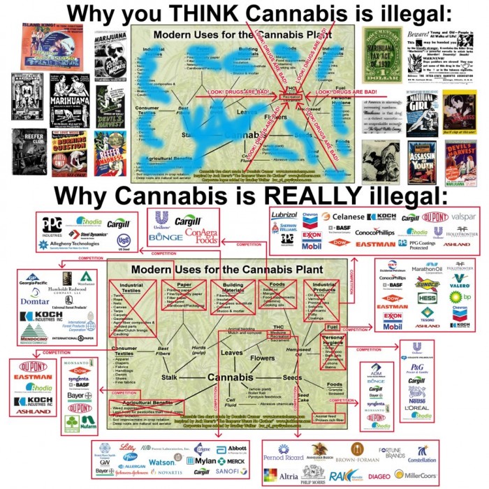 cannabisandcapitalism.jpg (283 KB)
