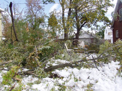 P1010130.JPG (678 KB)