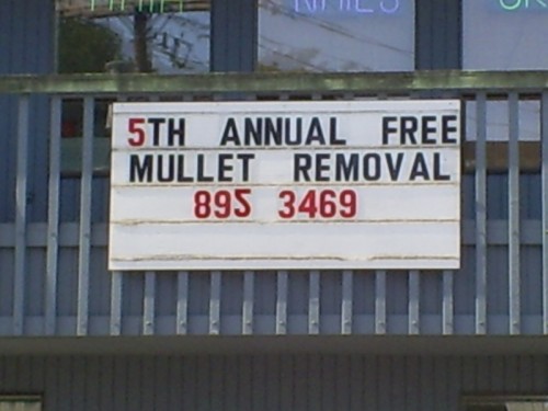 mulletsign.JPG (315 KB)