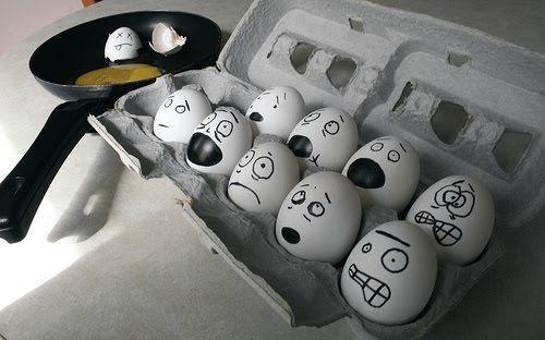 eggs.jpg (30 KB)