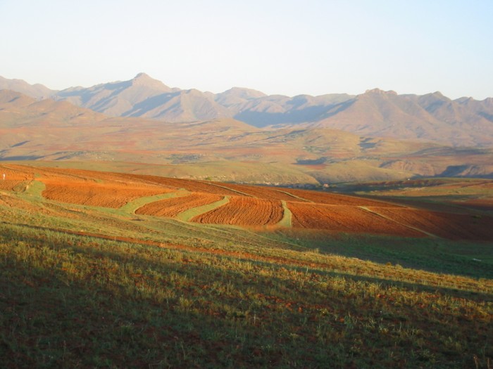 African_landscape.jpg (460 KB)