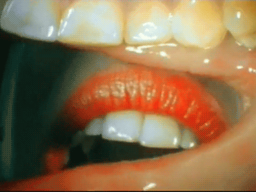 kiss.gif (956 KB)
