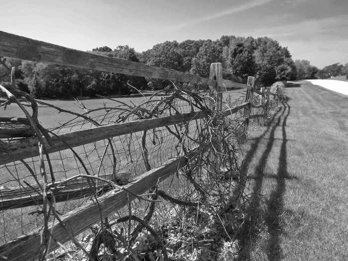 fence.jpg (2 MB)