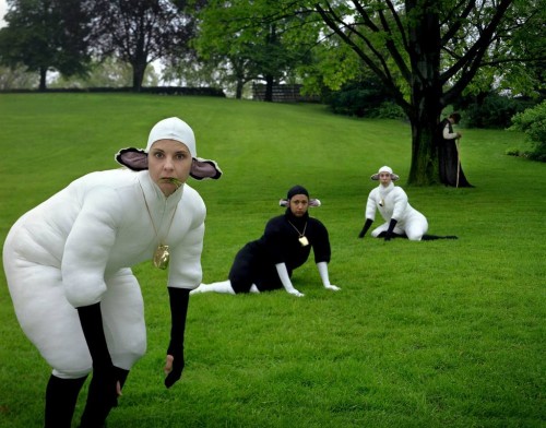 moutons.jpg (123 KB)
