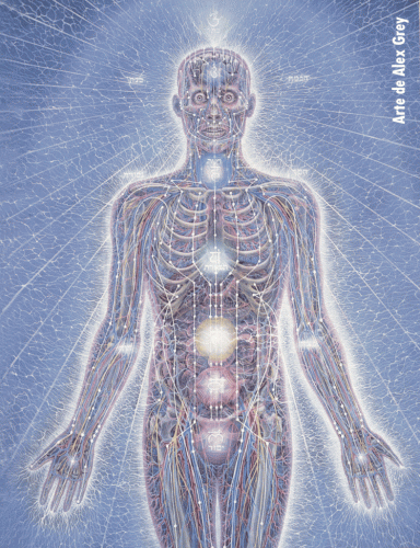 Chakras_AlexGrey-1.gif (782 KB)