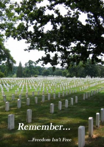 freedom-isnt-free.jpg (48 KB)