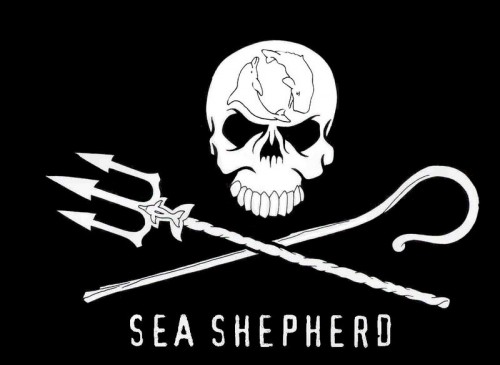 seal_shep_logo.jpg (42 KB)