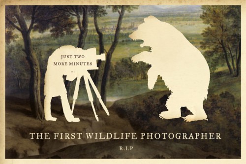 01wildlifephotographer.jpg (99 KB)