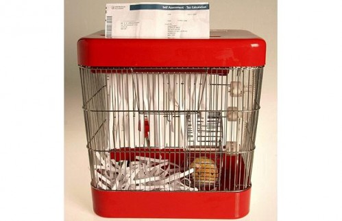 hamster-shredder_1212875i.jpg (35 KB)