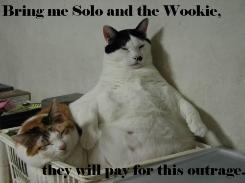 fatcats.jpg (51 KB)