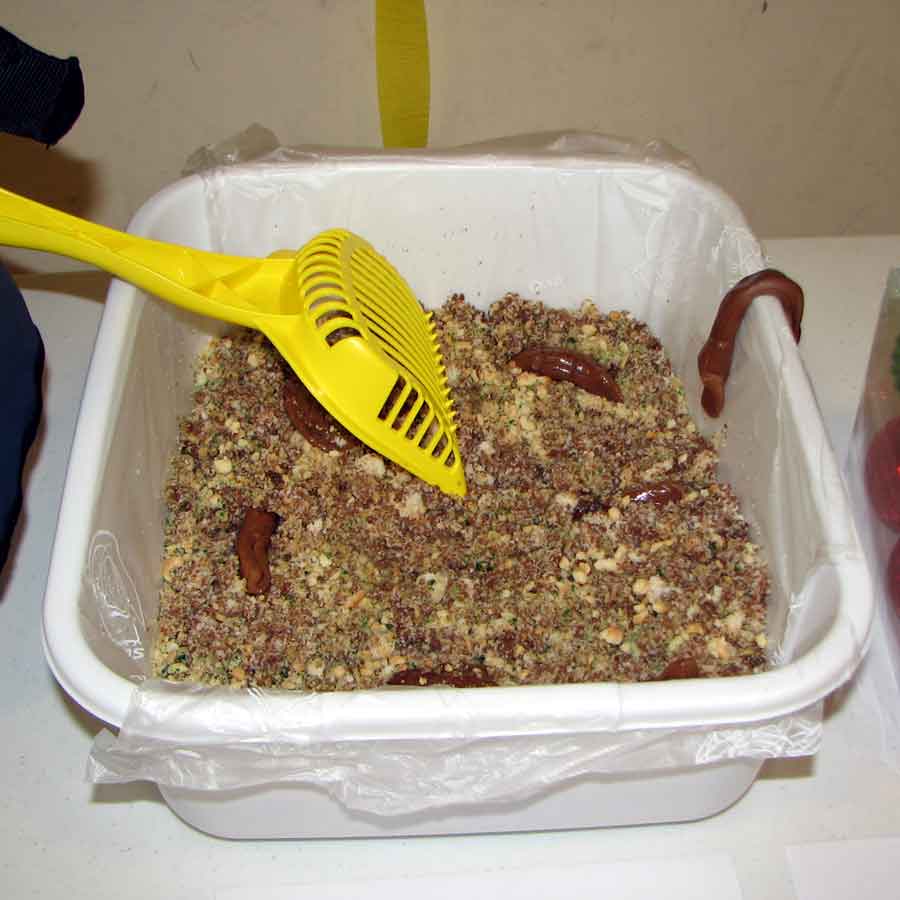 KITTY LITTER CAKE MyConfinedSpace