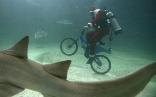 diversanta.jpg (61 KB)