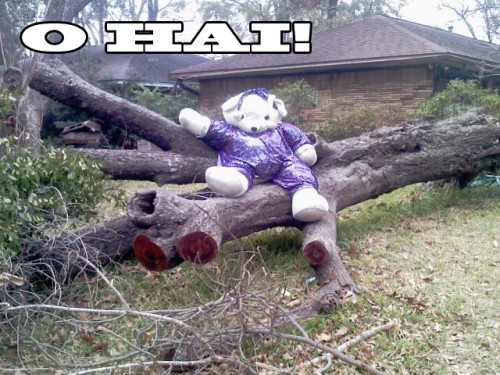 iketeddybear2.jpg (221 KB)