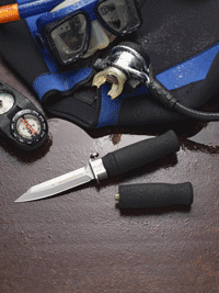 dive_wet.gif (31 KB)