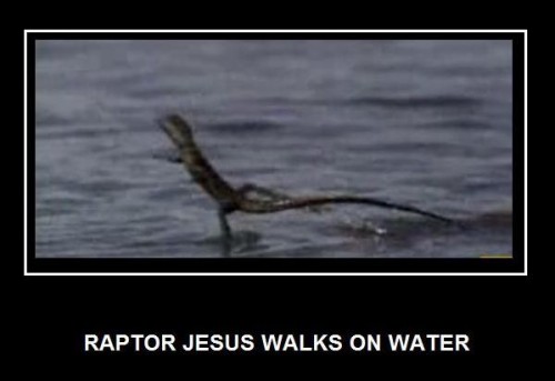 raptor-jesus-walks-on-water.jpg (23 KB)
