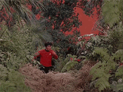 Redshirt.gif (446 KB)
