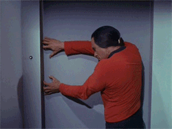Redshirt2.gif (873 KB)