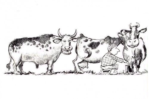 bull.jpg (42 KB)