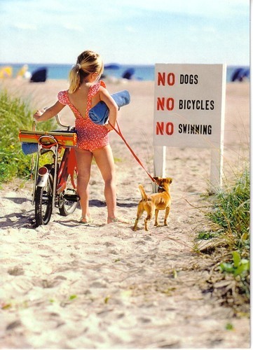 beach,bicycle,dog,funny,girl,happy-d97cf9fb758e1e0e77366e5934efa1ed_h.jpg (57 KB)