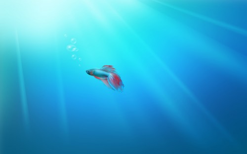 img0.jpg (170 KB)