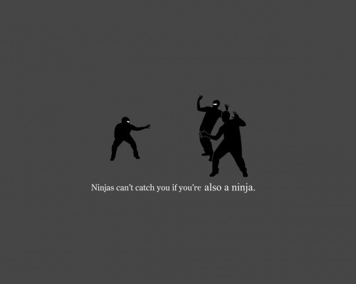 ninja.jpg (38 KB)