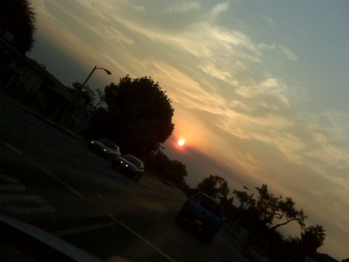 IMG00653.jpg (124 KB)